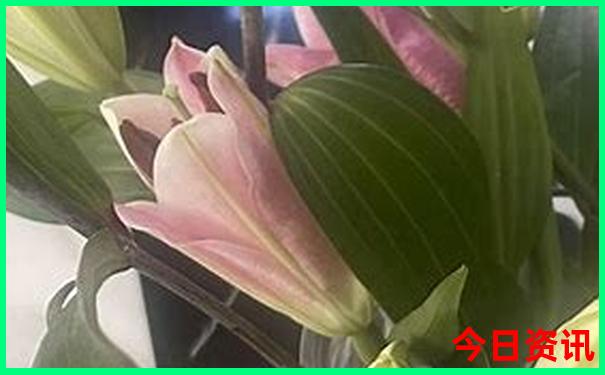 合肥周边两日游景点推荐